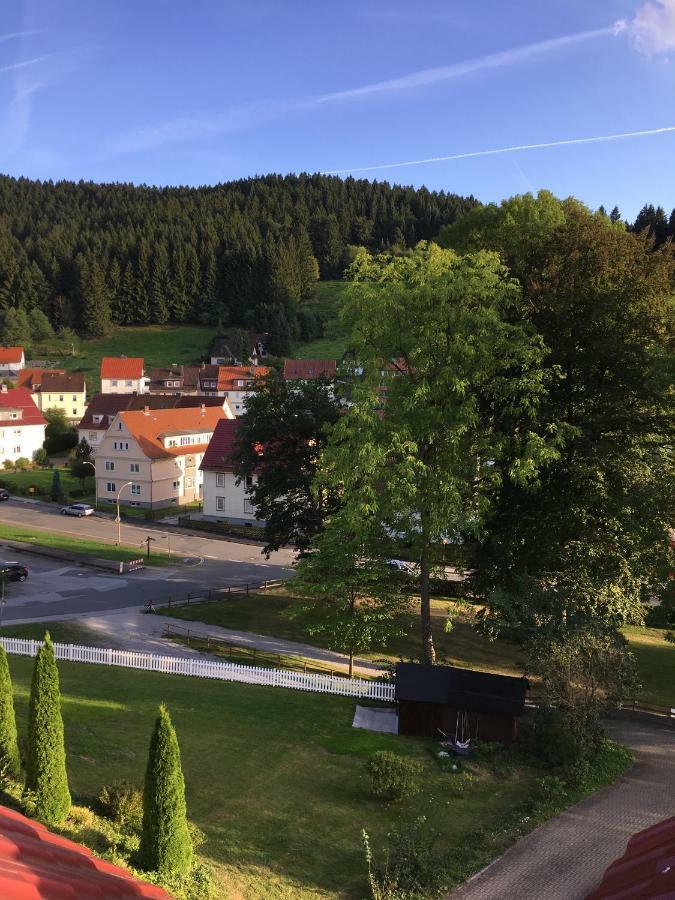 Villa Pusteblume Bad Grund Zewnętrze zdjęcie